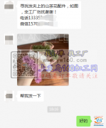 寻找发夹上的山茶花配件，如图