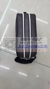 谁家能做双拉这款包 如图，有专业做的请与
