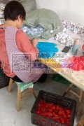 义乌加工厂长年承接 各种手工活