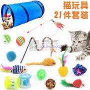 电商公司找，宠物用品工厂合作 采购宠物用品