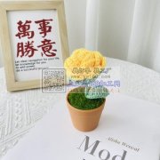 承接毛线钩织手工<br />
毛线编制