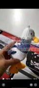 寻做这款毛绒玩具鸭子加工厂，有专业做的请