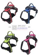 大厂宠物用品大狗胸背诚招加工厂合作