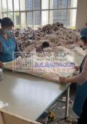有一千人的工厂，承接毛绒玩具，抱枕，毛毯，睡袋，宠物服装包工