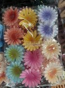 【量大】寻如图塑料爪子厂家，有直接生产厂