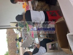 承接各种手工，人员充足！