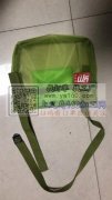 10000个袋子外发 如图【老板在线等】