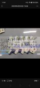 大型袜厂承接各种棉质的商务袜，流行潮袜和