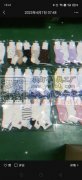 大型袜厂承接各种棉质的商务袜，流行潮袜和