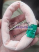 有做这个的联系我  