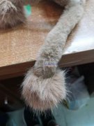 寻找手工缝球加工厂 如图，有专业做的请联