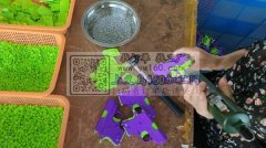 本厂有大量手工货外发， 工钱现