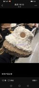 接各种拼车活，春夏秋冬，帽子，各种小东西