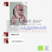 首单5000件宠物服外发，义乌东阳有能做