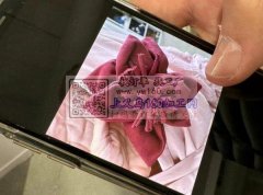 找图示织布花厂家，寻找这种织布花的成品，