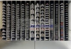 专业皇冠加工