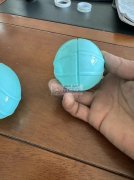 有5万只鲨鱼急需出货，产品是两瓣，扣合在