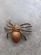 寻找做慢回弹海绵加工厂，小公仔需要做，有