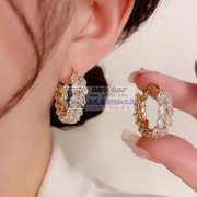 现需寻找如图所示耳环，谁家有这个耳环？有