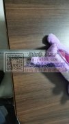 毛绒猫笔袋订单数量2600个，客人目标价