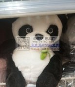 库存充足，批发价15元一个熊猫毛绒娃娃，