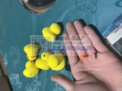 外发鸭子插眼睛嘴巴弹簧联系。有做过经验优