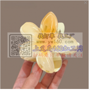需要图上这个发夹，寻找鸡蛋花发夹工厂&n