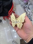 现需寻找如图款式注塑加工厂，如图所示，有