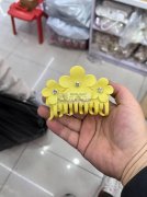 寻找如图款式有模具的注塑厂，有模具的注塑