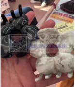 图示发夹哪家有，两个色，采购16000个