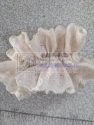 发圈外发，地区不限