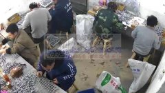 专业合金饰品烧焊加工