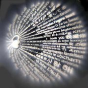 需要如图所示这个鹿头中间宝石里 