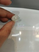 需要图上贝壳配件，寻找贝壳配件厂家，有货