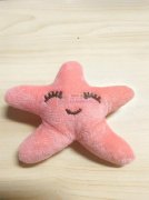 采购，寻找做如图所示这个卡通毛绒胸针源头工厂