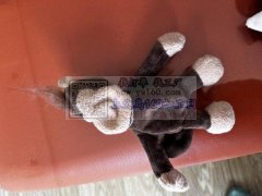 承接各种毛绒玩具加工，加工费很低，保证质