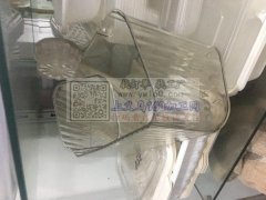 承接各类塑料制品日用消费品加工