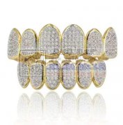 图中这类牙套谁家能做，现找做牙套的加工厂