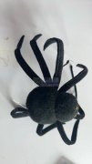 谁家有能做款毛绒蜘蛛产品 如图，数量5千