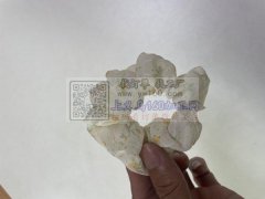 平车布圈外发加工，要求品质好速度快（可发