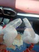 本加工厂长期承接各种手工活加工<br /