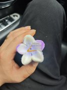 找花瓣定型工厂，如图 有能做的请与我联系