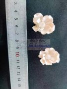 如图所示， 寻找做这种鞋花的源 头工厂，