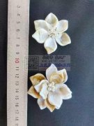 如图所示， 寻找做这种鞋花的源 头工厂，