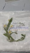 立诚毛巾绣花厂 主营：毛巾绣/