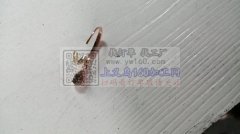 寻找义乌夹耳扣加工厂，带弹簧片的，义乌本