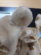 10万套衣服外发 如图，最好是江西上饶这