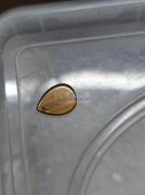 现需寻找这款树脂仿虎眼石配件，有这款配件