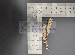 找有此款胸针模具的压铸厂