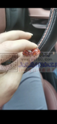 UV加工，可打印平面材料：玻璃，金属，亚